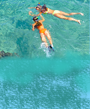 Antigua Waterfront day pass